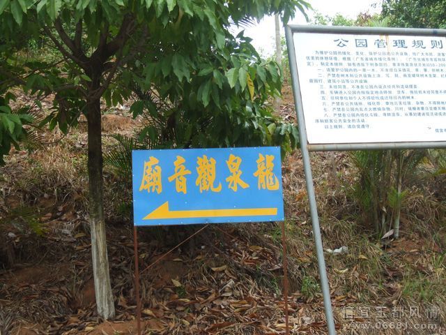 DSCF2974.JPG