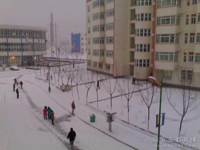 olc.photo.qq.jpg