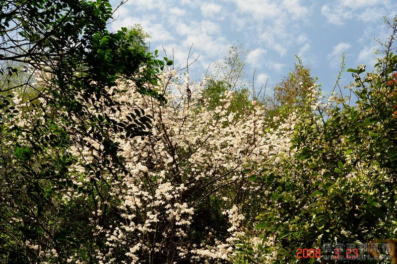 DSC02063.jpg
