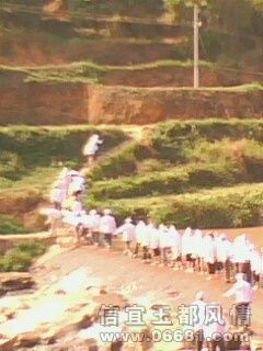 IMG0319A.jpg