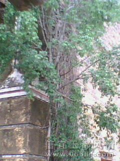 IMG0334A.jpg