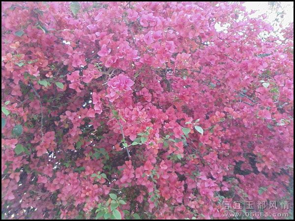 ��Ƭ-0044.jpg