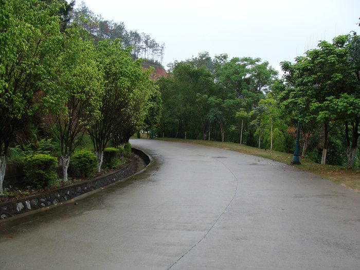 DSC01155_nEO_IMG.jpg