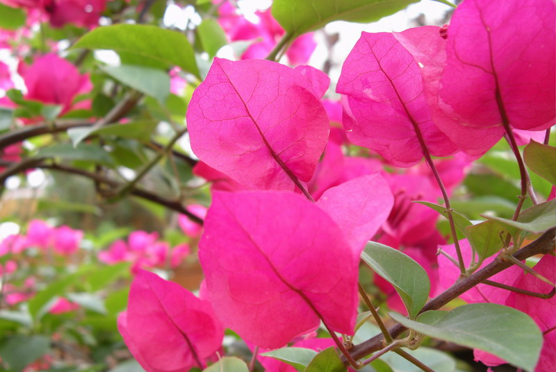 ��Ƭ 044.jpg