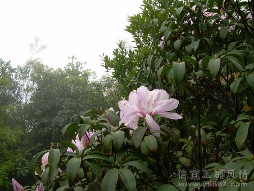 DSCN5123.jpg