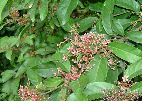 DSCN5248.jpg