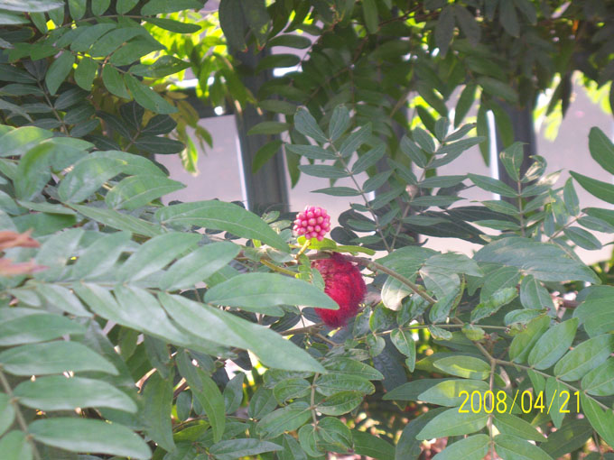 ��Ƭ 003.jpg
