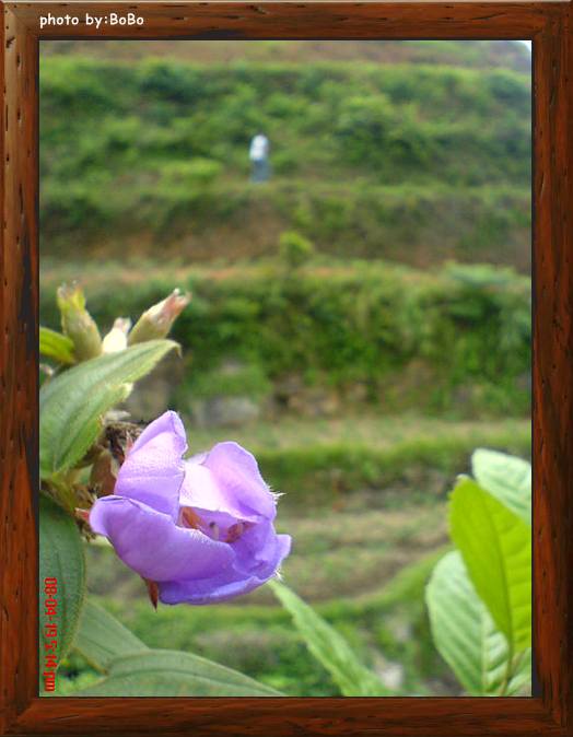 DSC03721.jpg