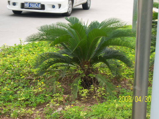 KV803 025.jpg