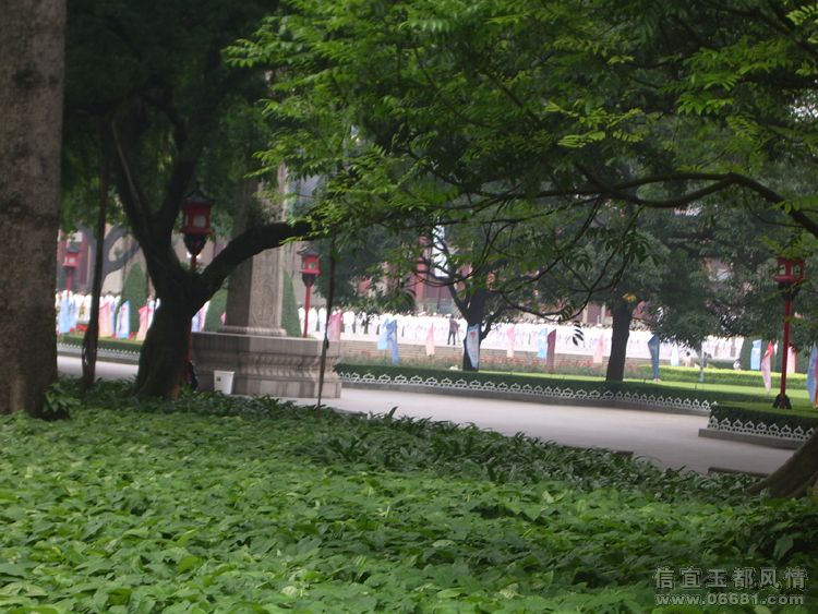IMGP6608.JPG