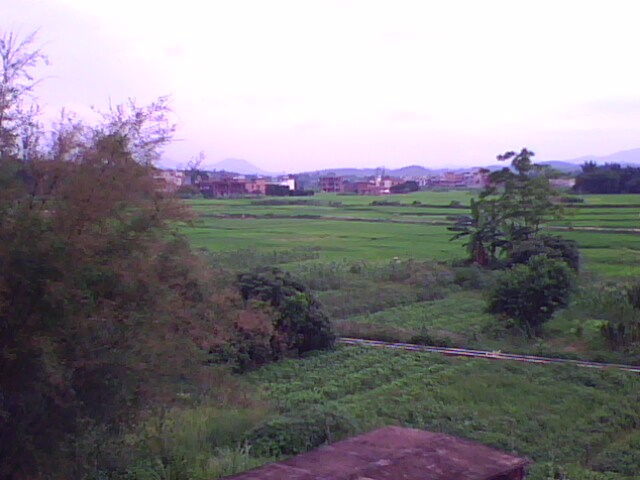IMG0074A.jpg
