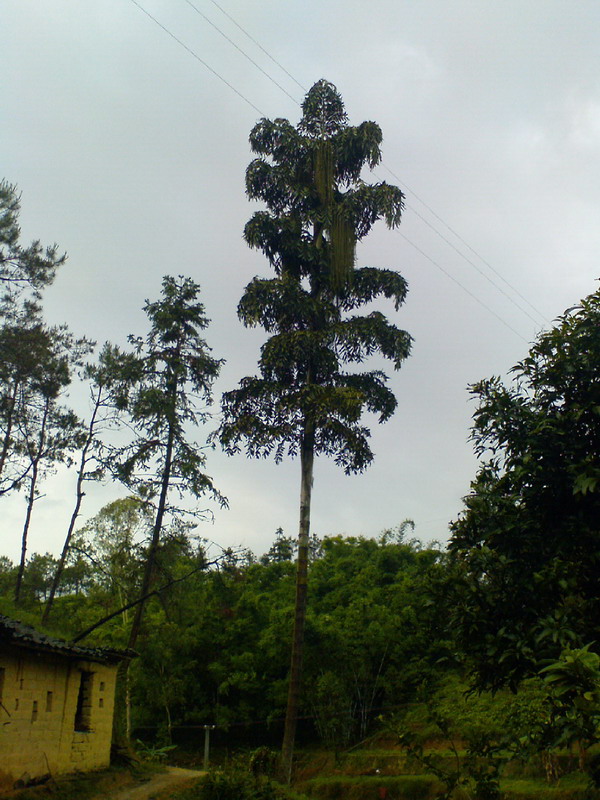 DSC00031.JPG