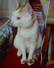 IMG0225A.jpg