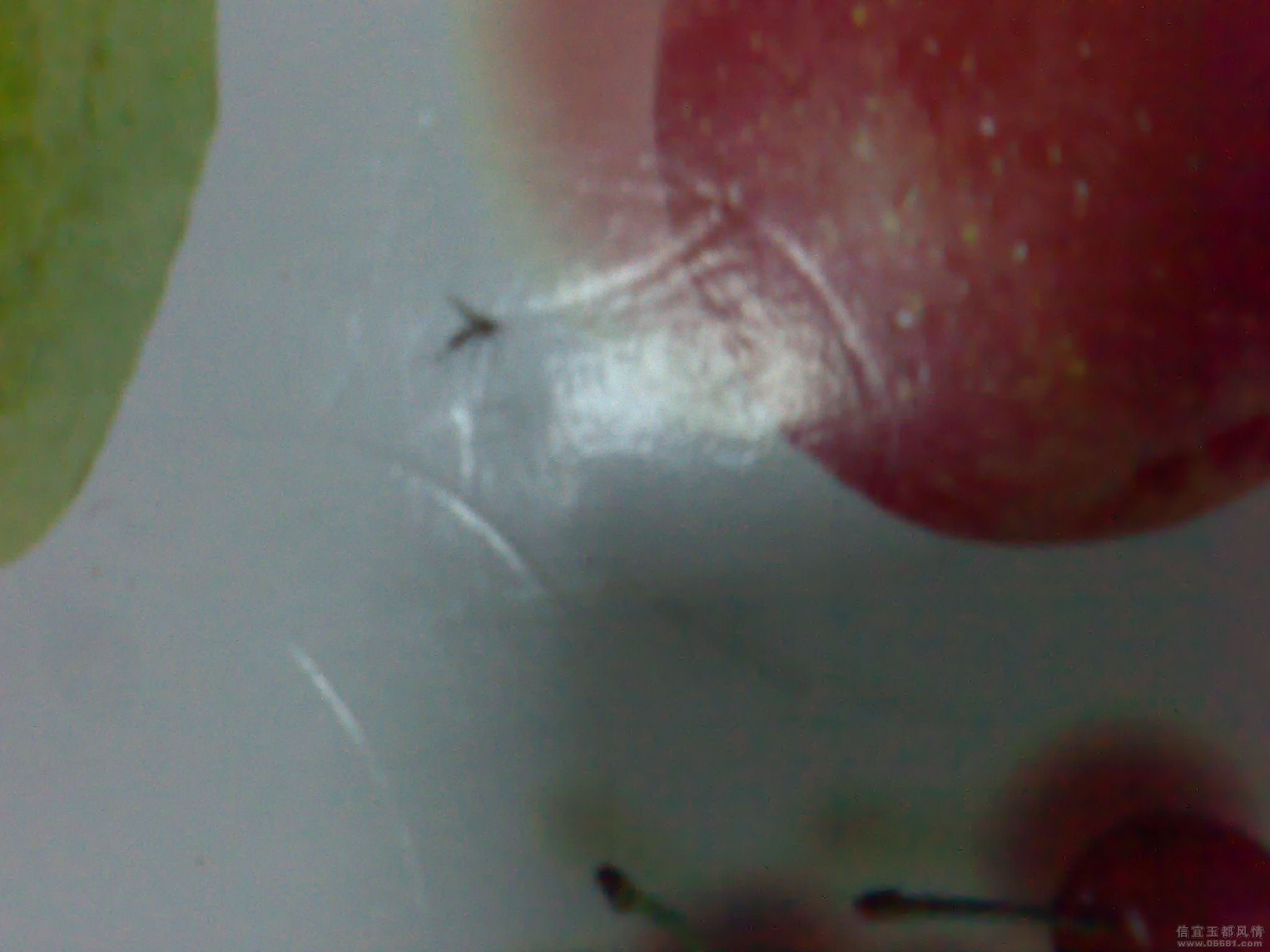 20080820062.jpg