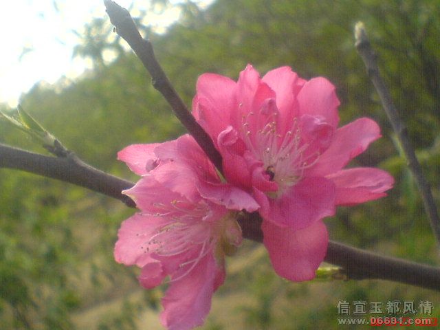 DSC01008.JPG