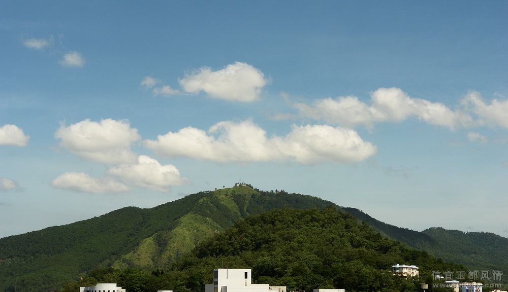 g.jpg