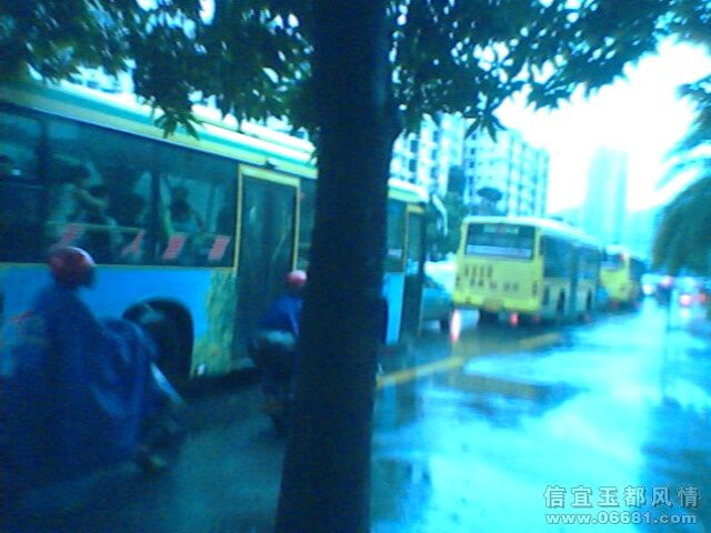 IMG1031A.jpg