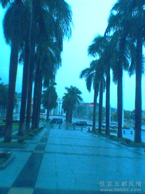 IMG0983A.jpg