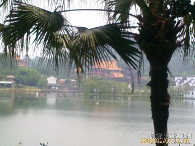 IMAGE_00668.jpg