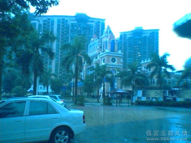 IMG1002A.jpg
