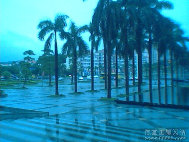IMG0975A.jpg