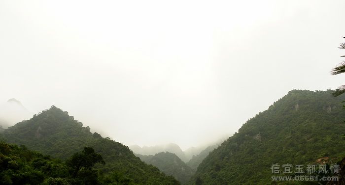 DSC08910.jpg
