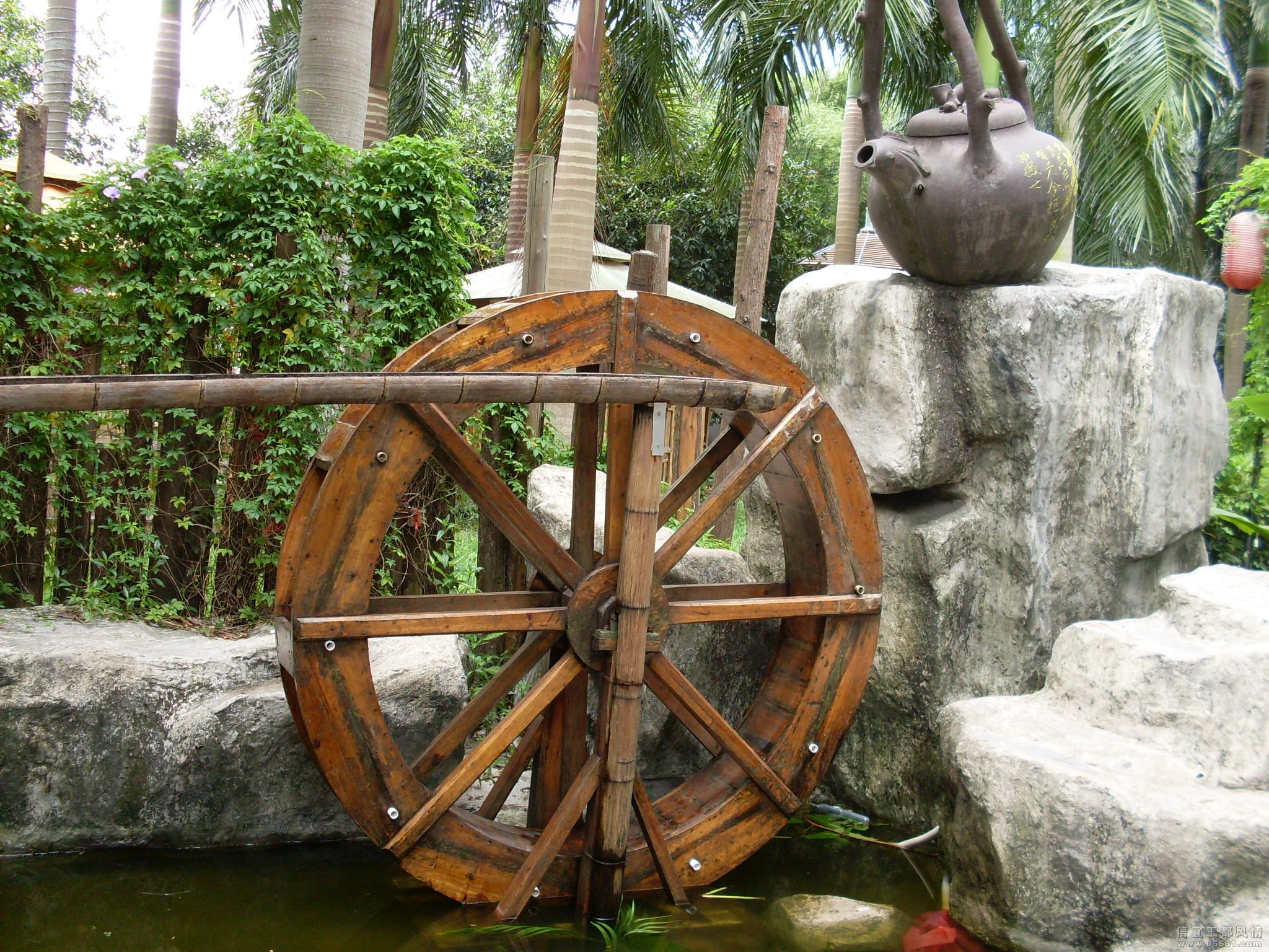 SDC11334.JPG
