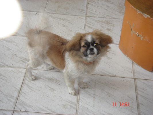 DSC07901.JPG