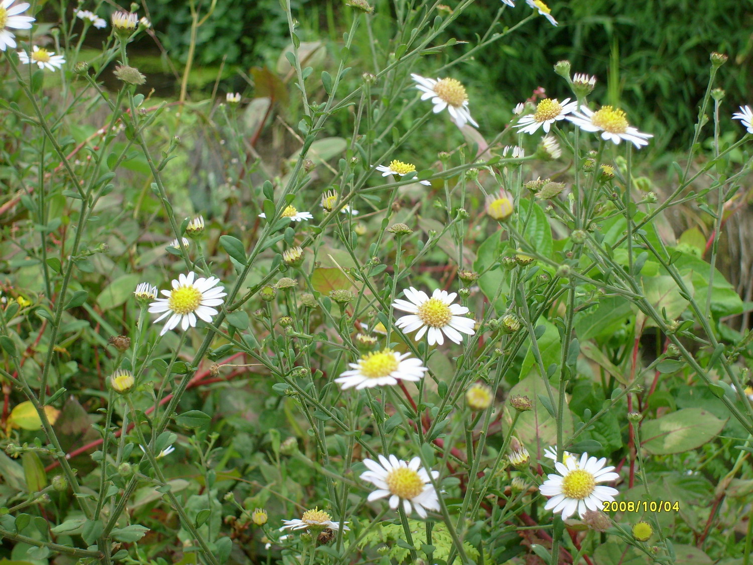 S7300786.JPG