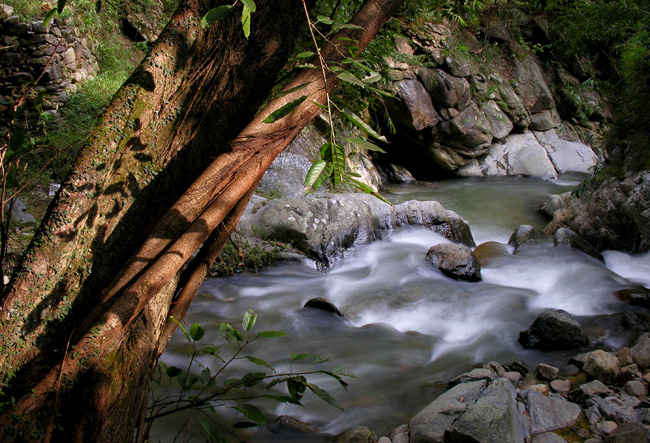 DSCN1617.jpg