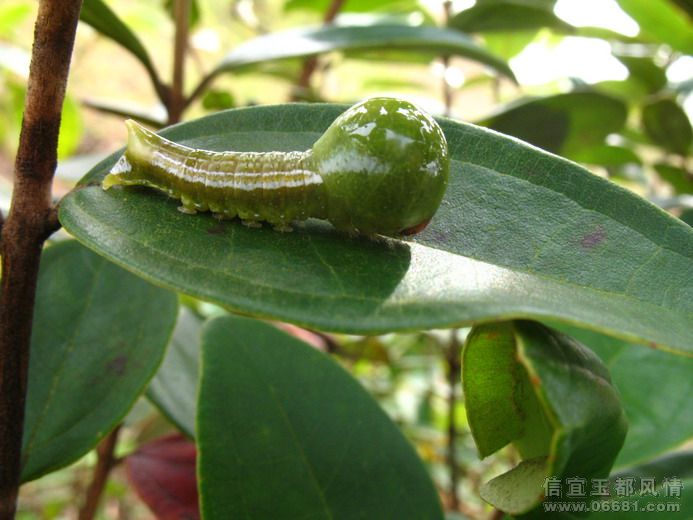 �ཱུ�˧�棬��Բ����