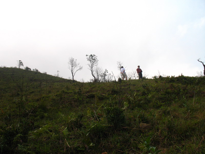 2008-10-11 008.jpg