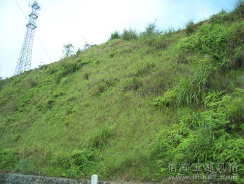 101_4022.jpg