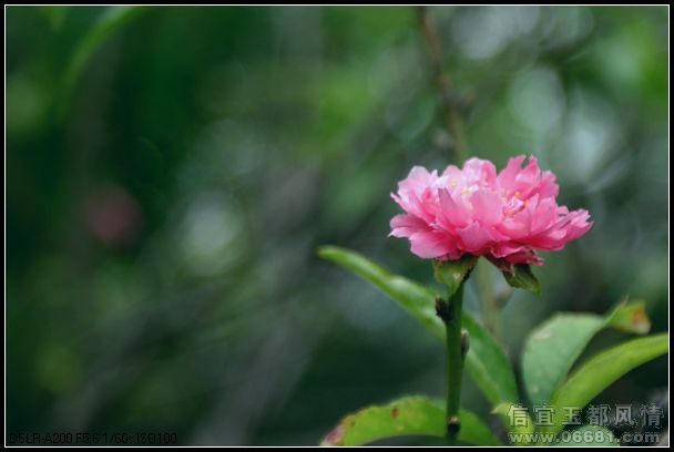 DSC01521.jpg