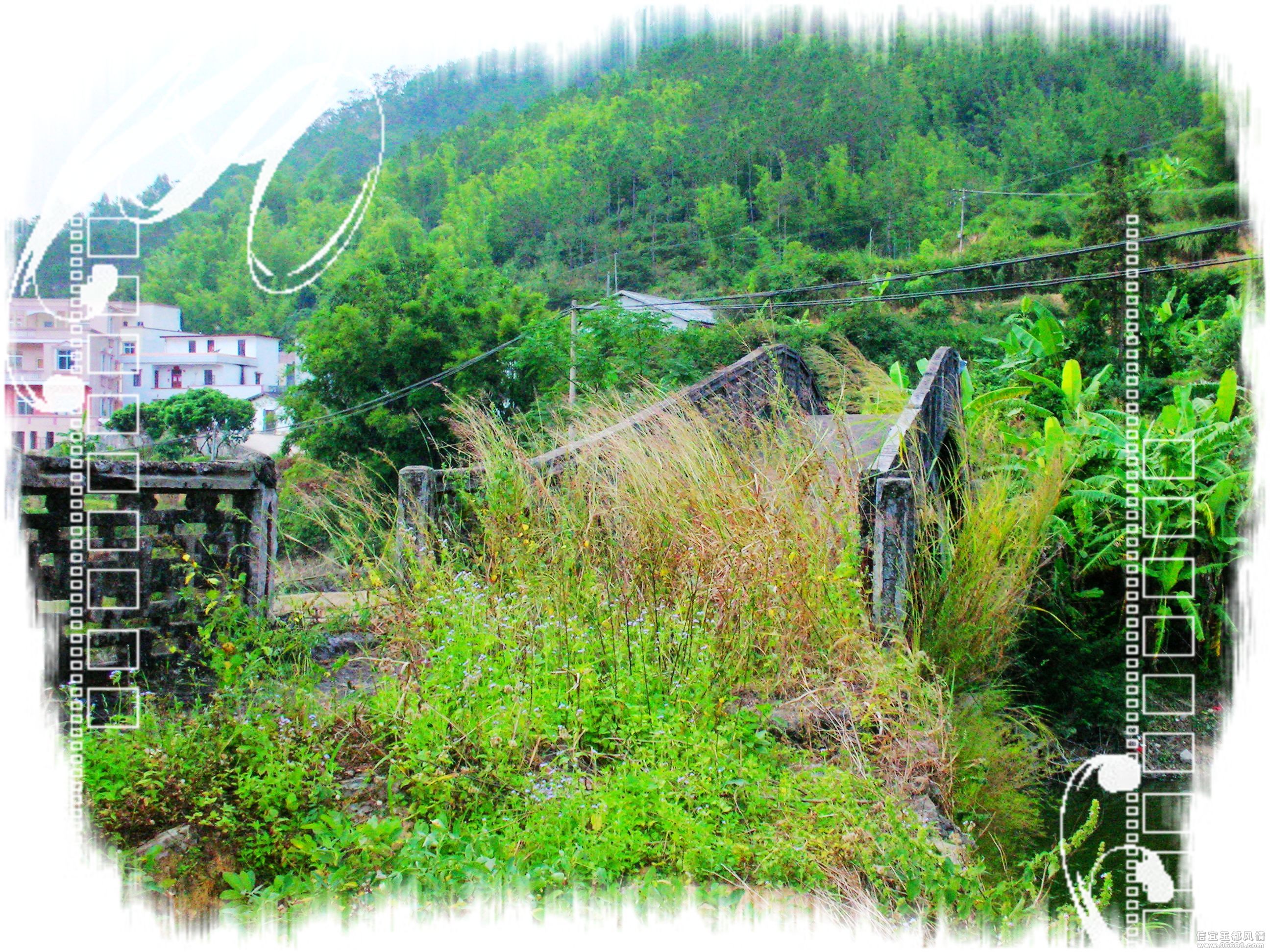 DSCN8825.JPG