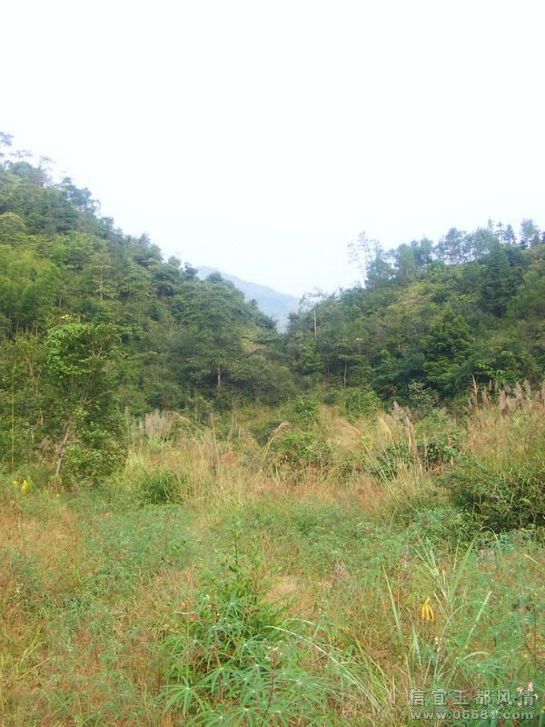 DSCF5737.jpg
