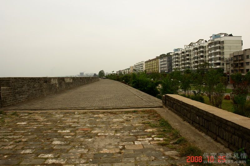 DSC01464.jpg