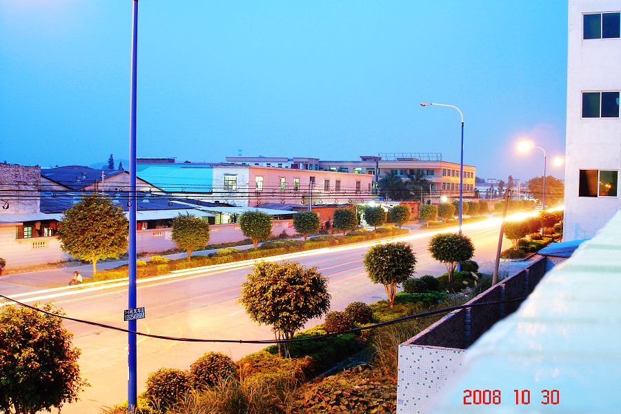 DSC00850.jpg