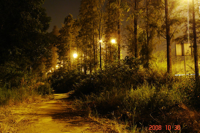 DSC00876.jpg