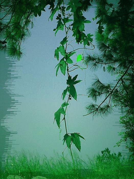 DSCN8909.JPG