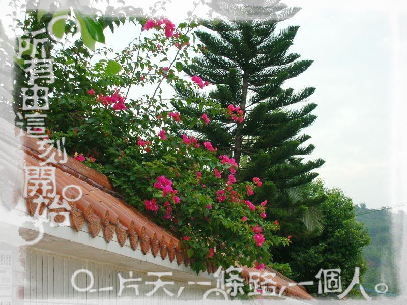 DSCN8942.JPG