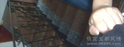 20081102_474ee09e69e801d3576ezkiTzBSE3sXs.jpg