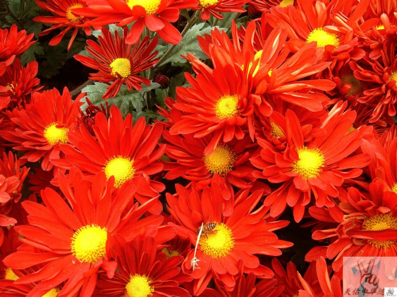 IMAG0100_1.jpg