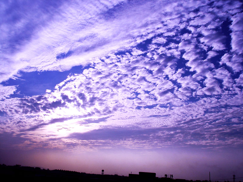 DSC01105.jpg