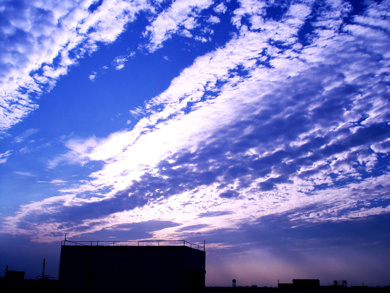 DSC01075.jpg