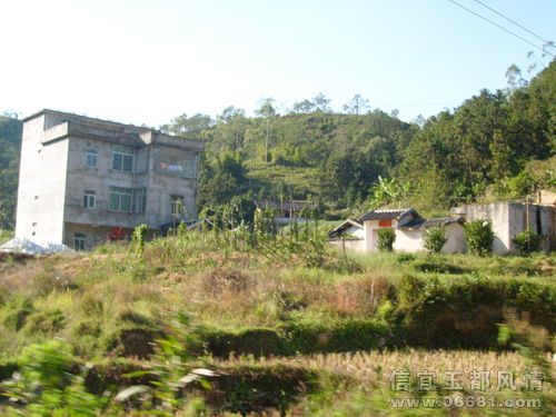 S6301780.JPG