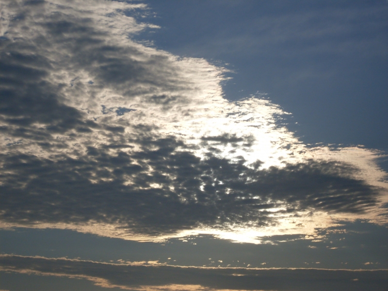 SDC11420.JPG
