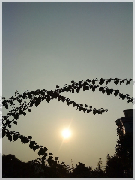 DSC00091.jpg