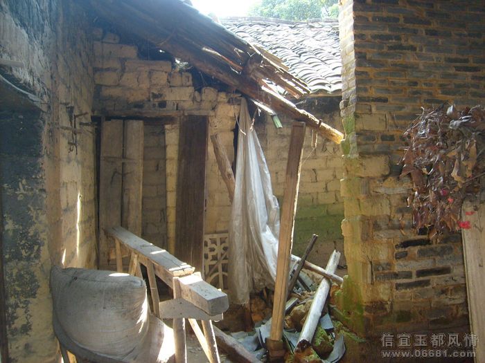 S6302244.JPG