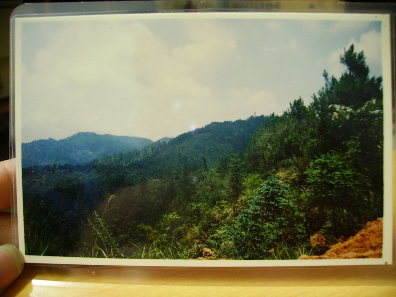 PICT0080.JPG